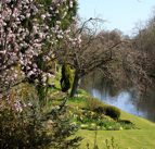 The River Exe at Bickleigh