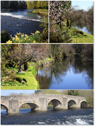 Bickleigh, Devon, the river Exe